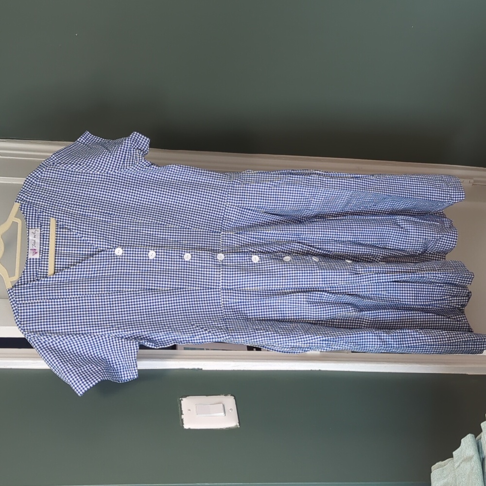 Gingham Shirt Dress